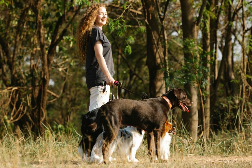 Woman walking dogs